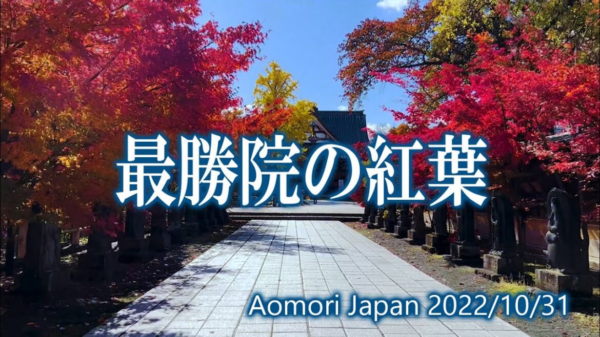 青森 最勝院の紅葉 2022 / Autumn leaves at Saishouin, Aomori 2022