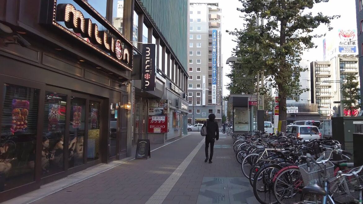 【4K】2022 日本 北海道 札幌 中央区 すすきの 散策【Binaural Audio】 【4K】2022 日本 北海道 札幌 中央区 すすきの 散策【Binaural Audio】