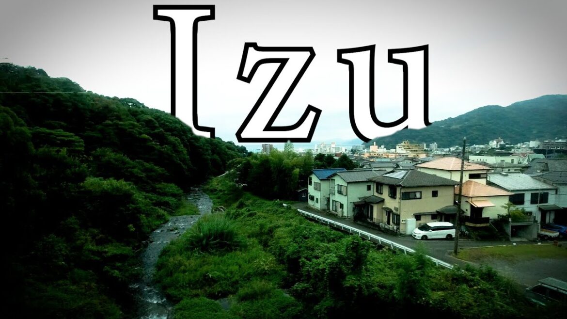 Trip to Izu/Kona Stay