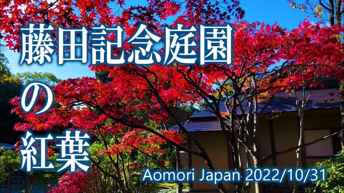 青森 藤田記念庭園の紅葉 2022 / Autumn Leaves at Fujita Memorial Garden, Aomori 2022 青森 藤田記念庭園の紅葉 2022 / Autumn Leaves at Fujita Memorial Garden, Aomori 2022