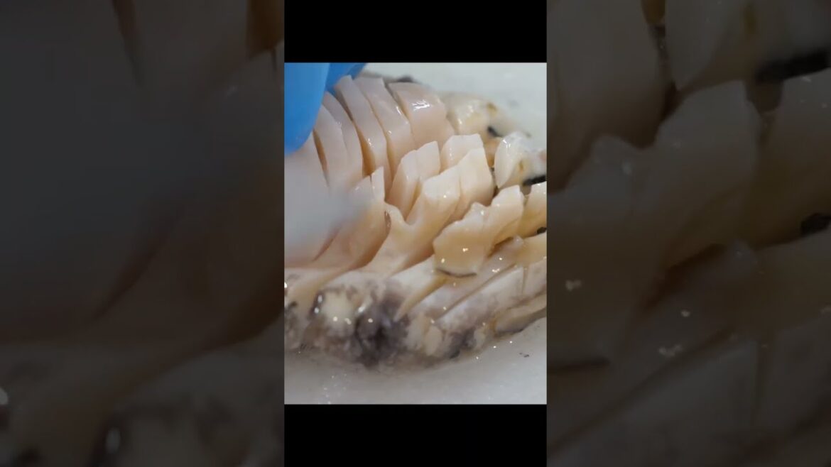 싱싱합니다~ 제주 해산물 모듬회 #shorts