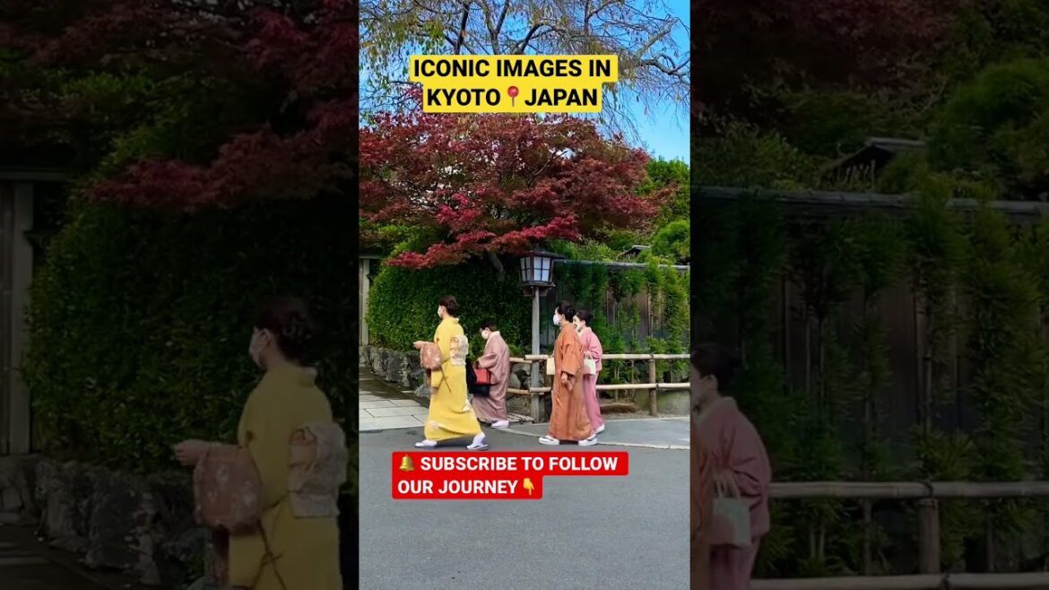 Amazing people in #japan 🇯🇵❤️ #kyoto #shorts #1ancu1ghiozdan #travel #iconic #japanlife