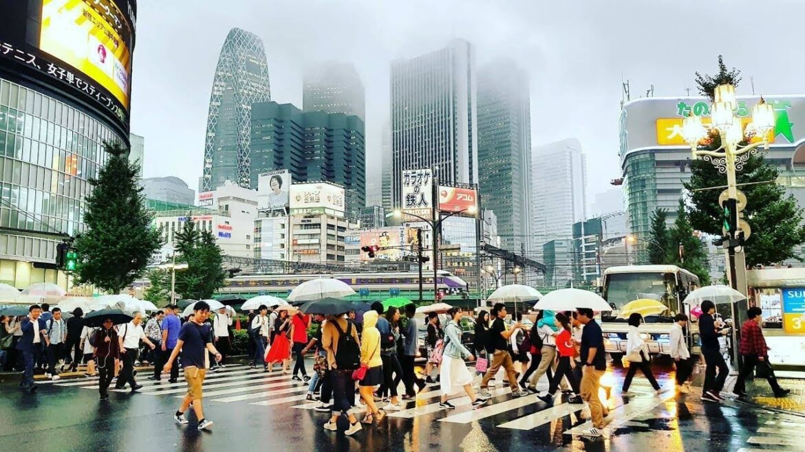 Vlog Japon : JE VISITE SHIBUYA ET SHINJUKU SOUS LA BRUME !