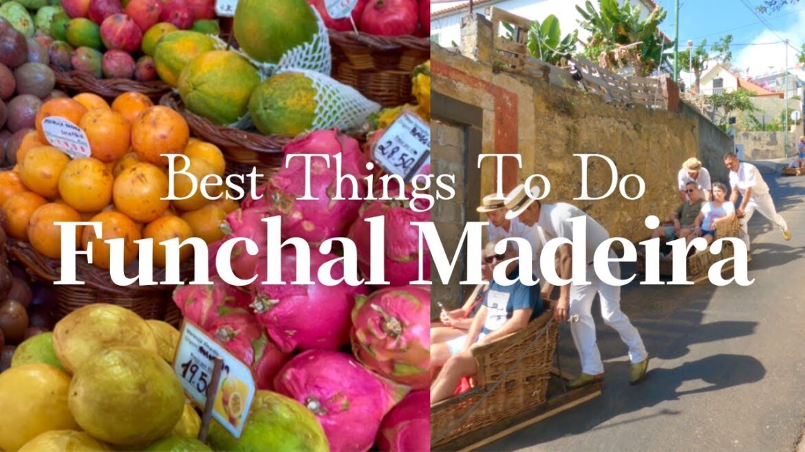 マデイラ島、フンシャル街歩き🐾 超有名サッカー選手から日本庭園まで盛りだくさんの旅♡ / ポルトガル旅行 Portugal travel マデイラ島、フンシャル街歩き🐾 超有名サッカー選手から日本庭園まで盛りだくさんの旅♡ / ポルトガル旅行 Portugal travel