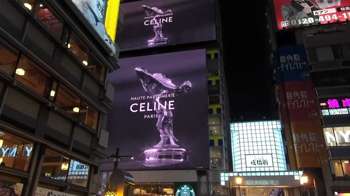 4K Japan walk Osaka 2022 (EBISU BASHI shopping street) 4K Japan walk Osaka 2022 (EBISU BASHI shopping street)