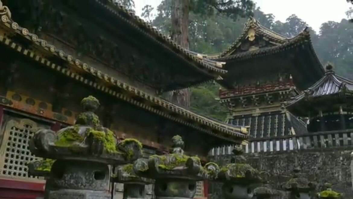 Japan 🇯🇵 Tour In Short || Suzume || Edit by @ItzRandom_Editz ||