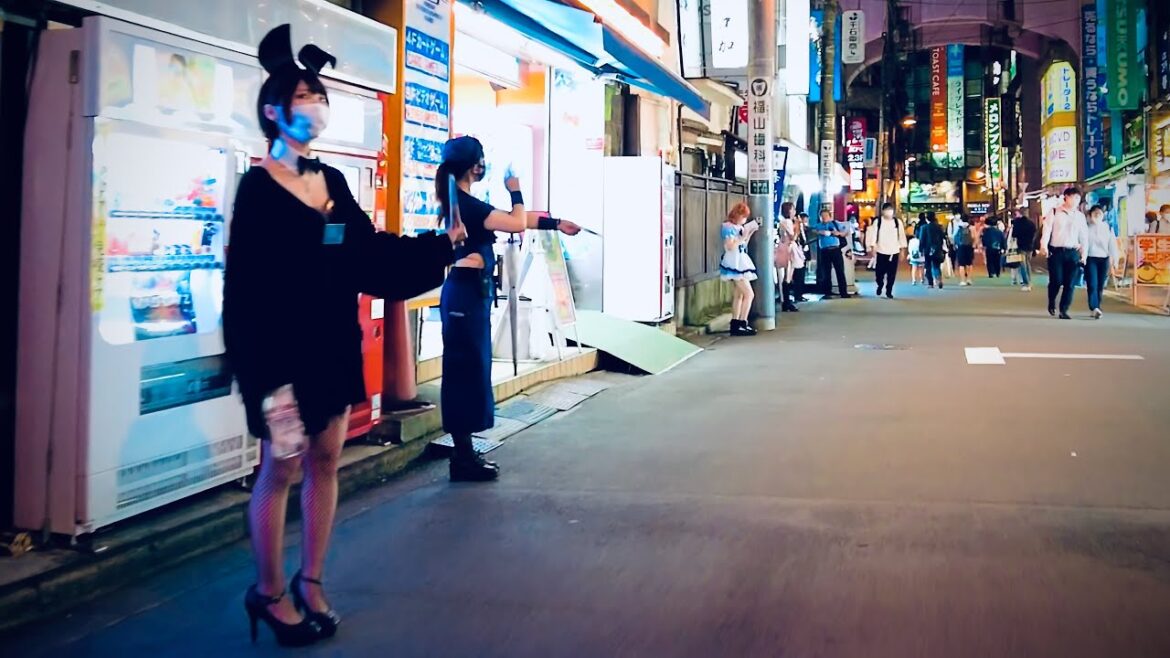 【秋葉原】Tokyo Night Walk - Akihabara (▶ 52 min) | 4K 東京散歩 September, 2022