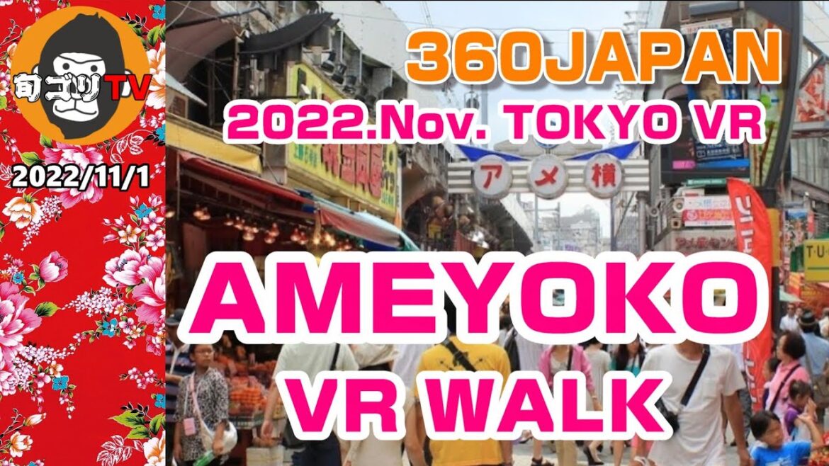 VR JAPAN TOUR AMEYOKO 360° 上野アメ横を360°VRお散歩 VR JAPAN TOUR AMEYOKO 360° 上野アメ横を360°VRお散歩