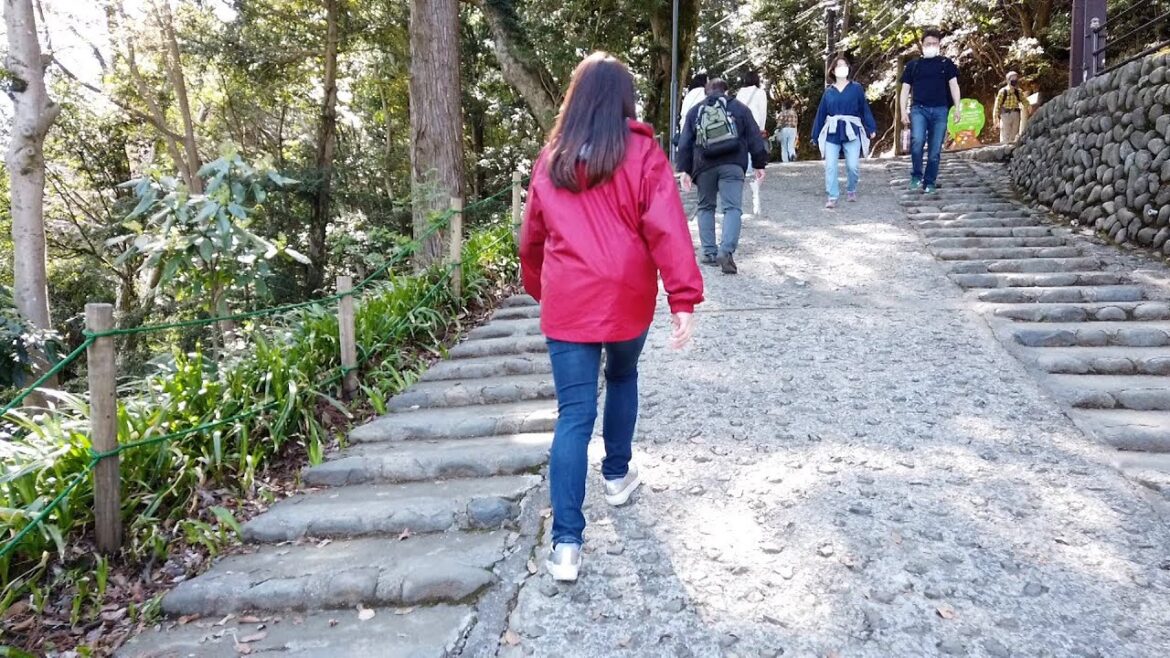 Mt. Takao, the most-climbed mountain in the world  _Channel JAPAN ＃6/2022