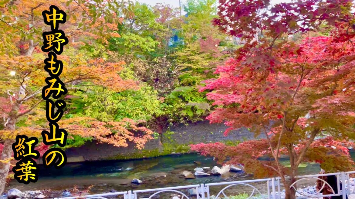 中野もみじ山 紅葉 青森県 黒石市2022 10 27