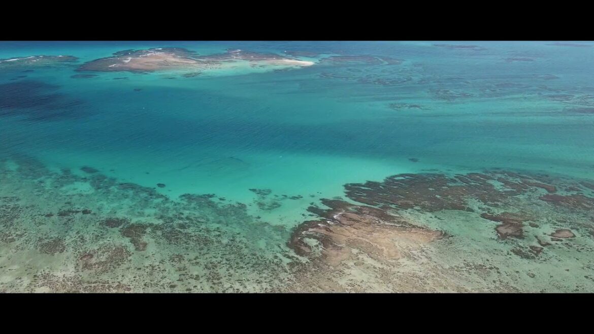 神秘の島『久高島』ドローン 沖縄離島 Okinawa Trip Kudaka Island ニライカナイ橋
