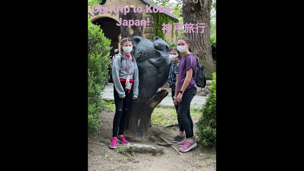 Our Trip to Kobe, Japan! 🇯🇵 ✈️  神戸旅行🐨🌸🚠#shorts