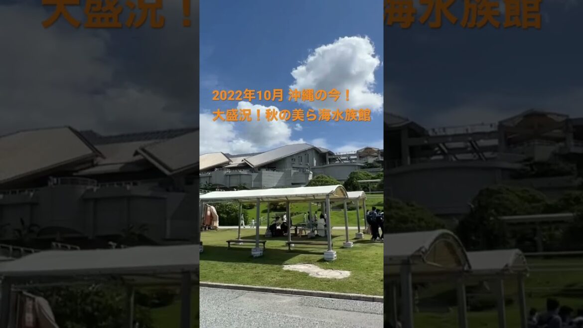 平日でも大盛況！秋の美ら海水族館！