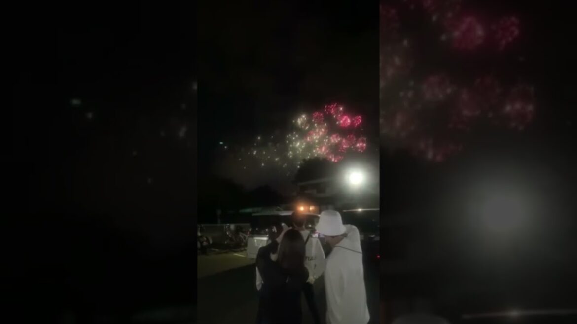 Hanabi Japan Fireworks 🔥🇯🇵  #shorts #japan #travel #fire