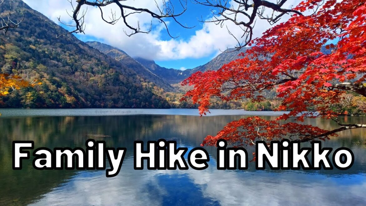 Stunning Foliage in Niiko Japan! Family Hike With a 9 Month Old