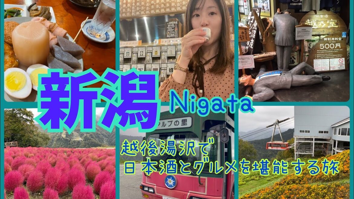【新潟観光】🍶🌾越後湯沢・柏崎の豊かな大地で日本酒と新潟グルメを堪能する旅🌾🍶