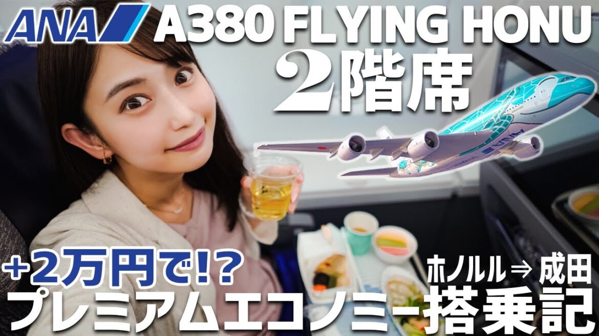 フライングホヌ 快適過ぎるプレミアムエコノミーで帰国!ホノルル→成田【NH183】 フライングホヌ 快適過ぎるプレミアムエコノミーで帰国!ホノルル→成田【NH183】