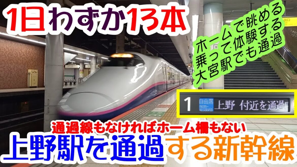 通過線もホーム柵もない上野駅を通過する新幹線 全車種通過シーン10連発&実乗車体験 大宮駅のオマケ付き 通過線もホーム柵もない上野駅を通過する新幹線 全車種通過シーン10連発&実乗車体験 大宮駅のオマケ付き