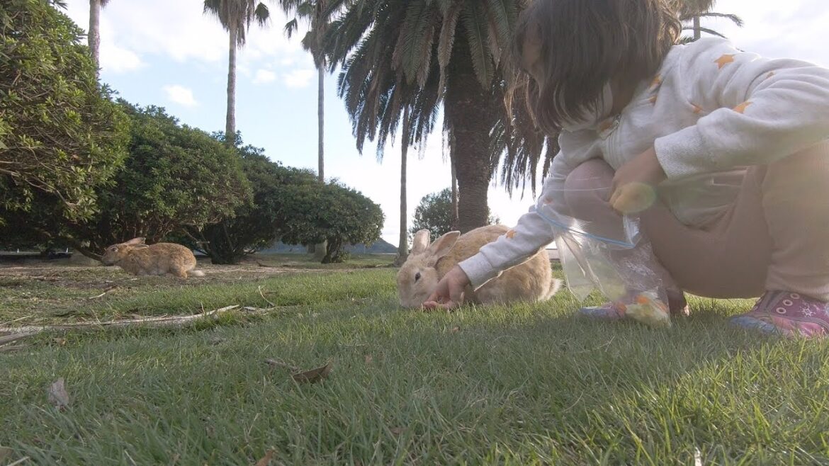 Rabbit Island Weekend Getaway