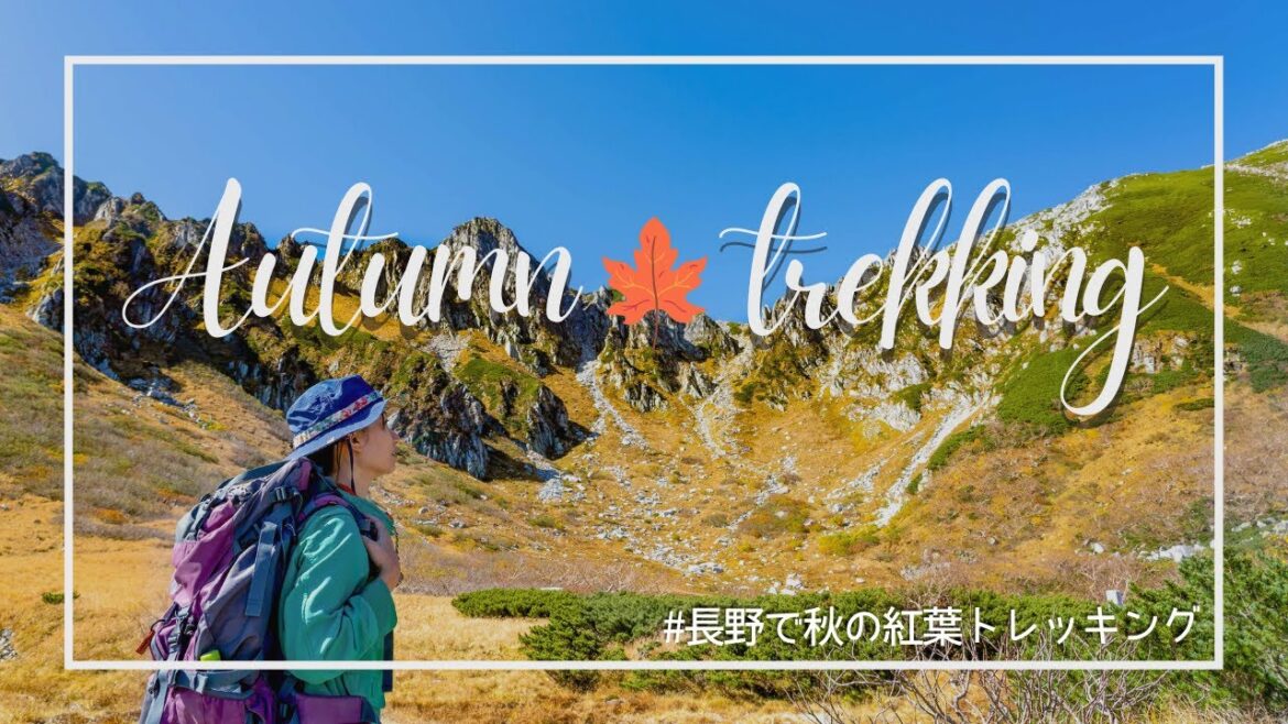 【紅葉登山】秋の駒ヶ岳へ日帰りトレッキング｜ 千畳敷カール、宝剣岳