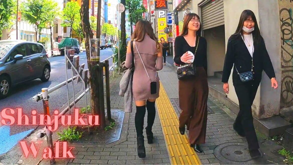 Kabukicho Shinjuku Tokyo in Japan walking tour. 【4K】10.2022 Kabukicho Shinjuku Tokyo in Japan walking tour. 【4K】10.2022