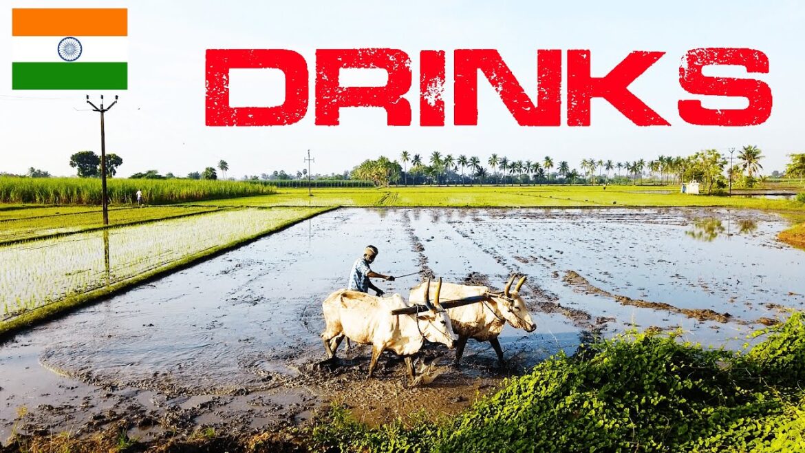 Tamil Nadu Trip | Ep. 9 | What answer i get if i ask for Pondicherry Specialty ? Tamil Nadu Trip | Ep. 9 | What answer i get if i ask for Pondicherry Specialty ?