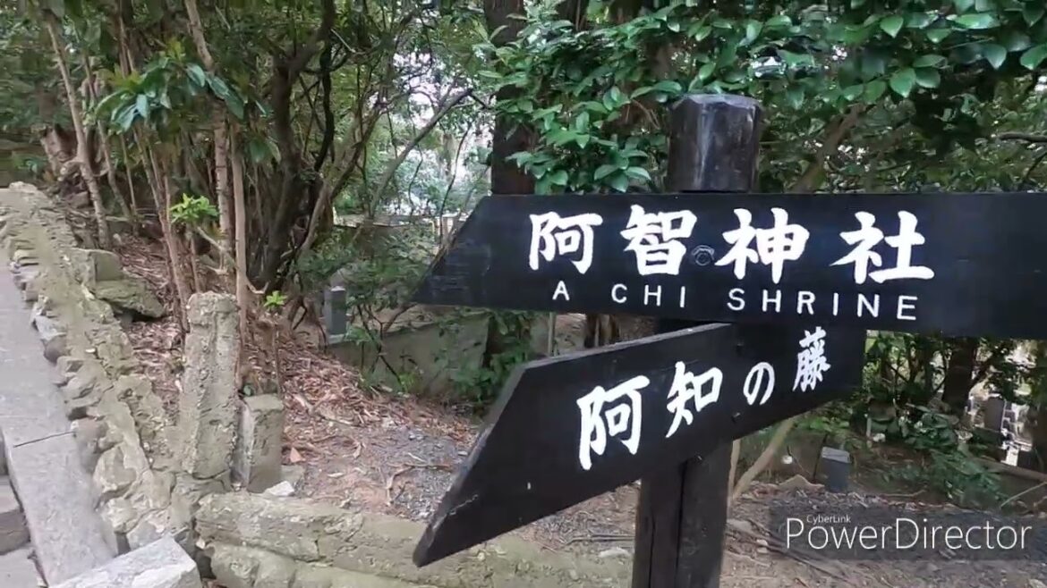 Walk through Kurashiki Bikan, the historical quarter of Kurashiki, Japan – Okayama. Walk through Kurashiki Bikan, the historical quarter of Kurashiki, Japan - Okayama.