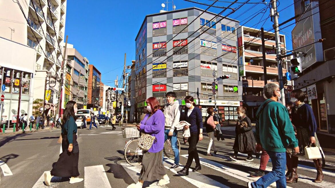 Japanese Town Just near Tokyo But super affordable for living