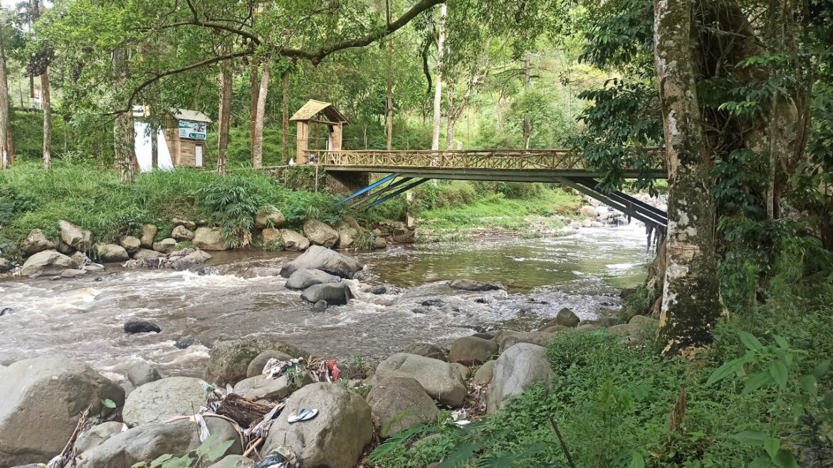 relaxing walk, natural garden, village walk, 4 K walk, Asmr Tour, | walk around me