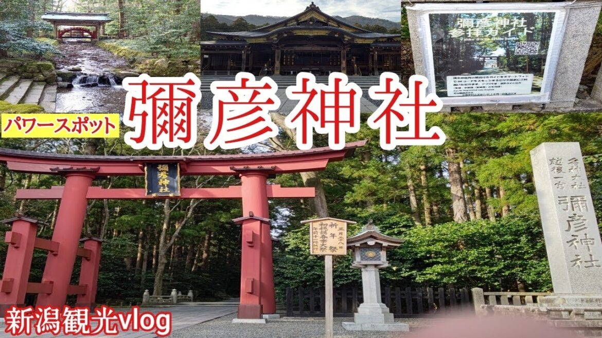 人気パワースポットおやひこさま散策【NiiGATA】彌彦神社【新潟観光】夫婦二人旅vlog
