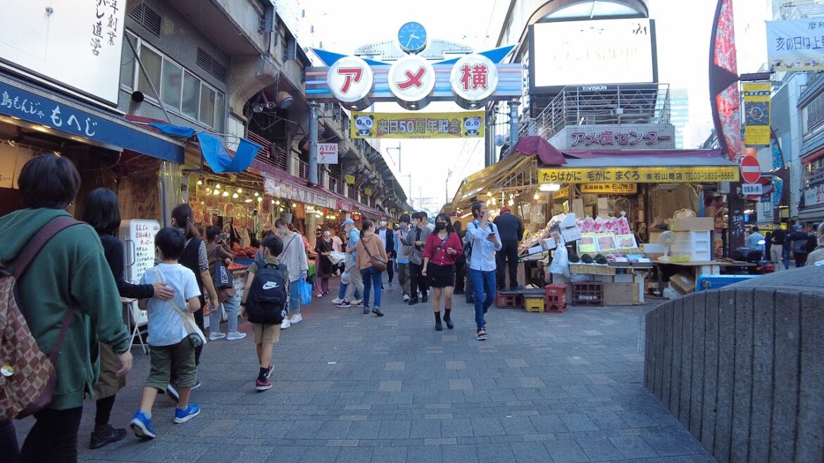 【4K】観光客が戻った上野 Crowd is back in  Ueno,Tokyo【2022】