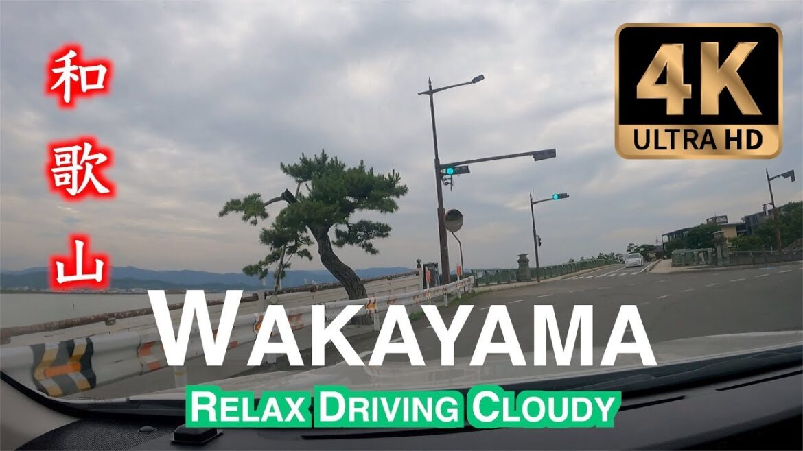 【4K】Driving through cloudy Wakayama  to Kataonami Seaside `park