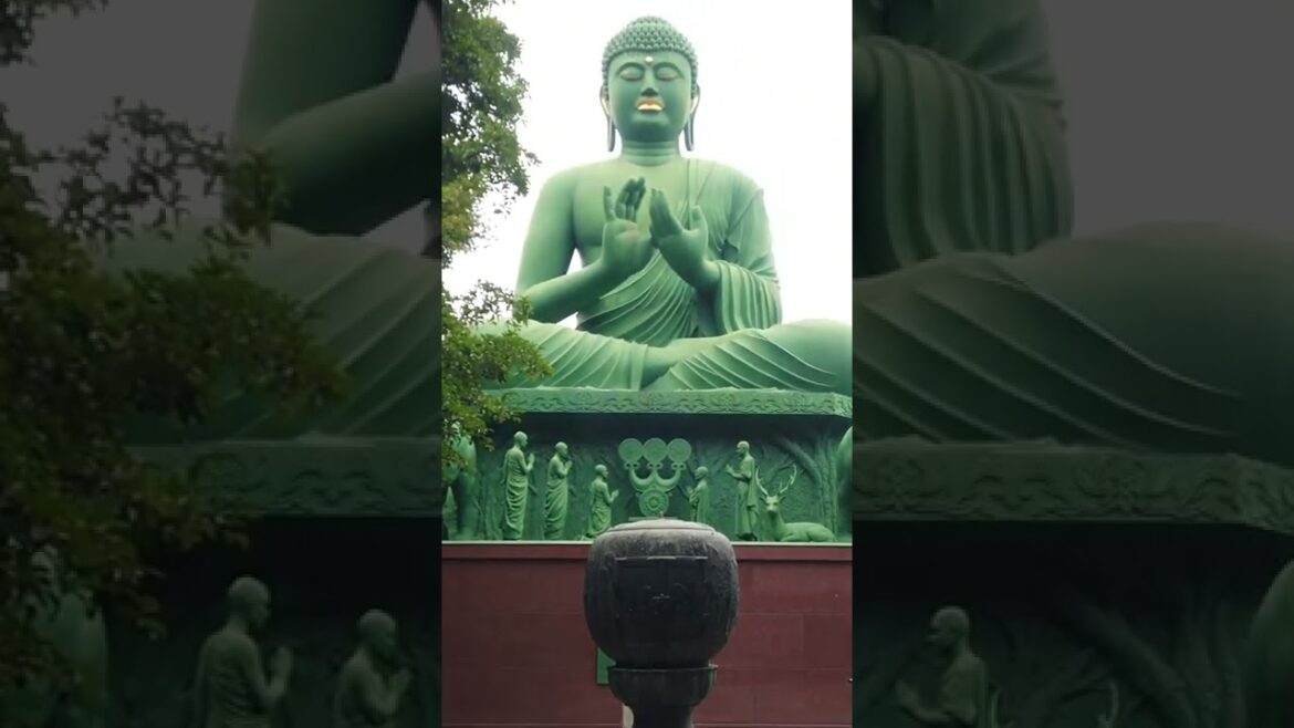 Nagoya Buddha #Buddha #shorts