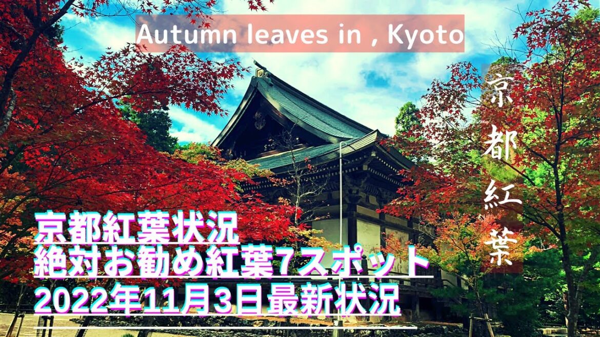 京都紅葉状況2022年11月3日！京都の気になる紅葉状況最新情報（Kyoto trip）