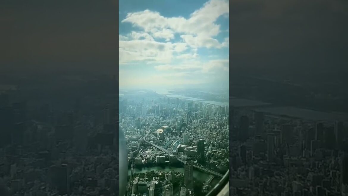 ENJOY THE BEAUTY OF JAPANESE CITY OF OSAKA FROM THE SKY