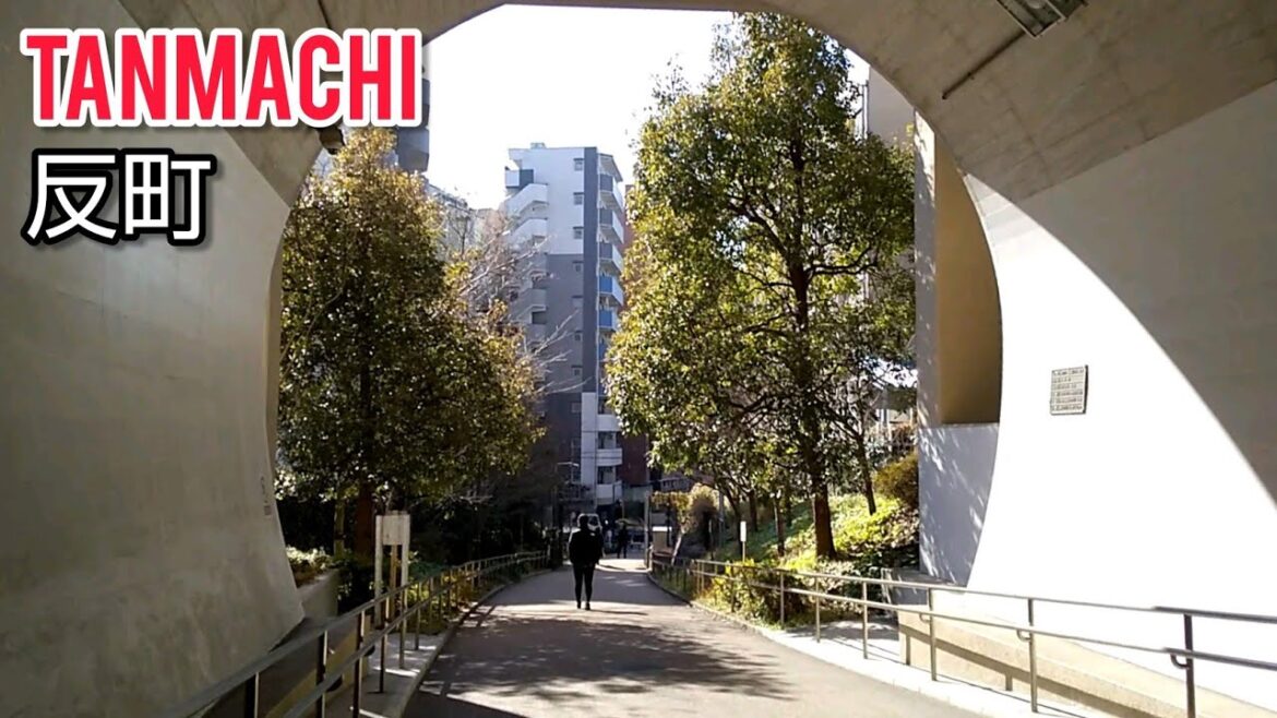 YOKOHAMA Walking Tour, Tanmachi | JAPAN Feb 2021 No.3 YOKOHAMA Walking Tour, Tanmachi | JAPAN Feb 2021 No.3