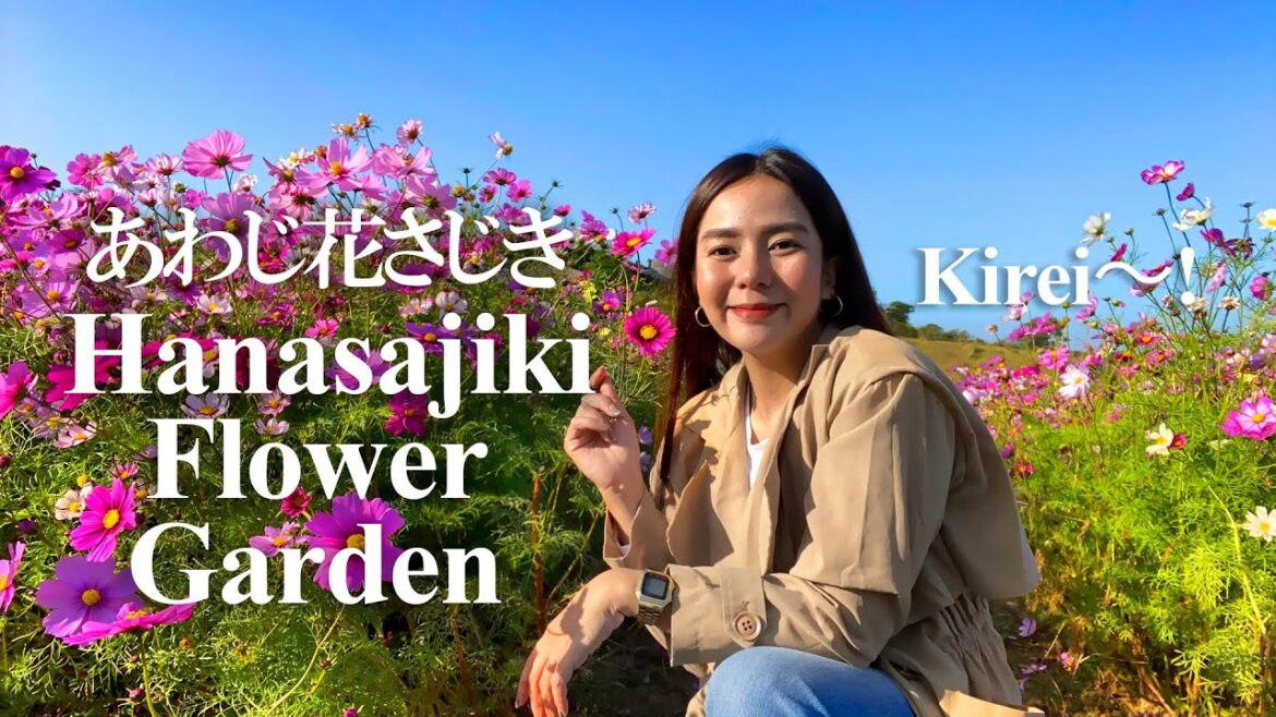 Hanasajiki | Flower Gallery of Awaji |  deltaTV