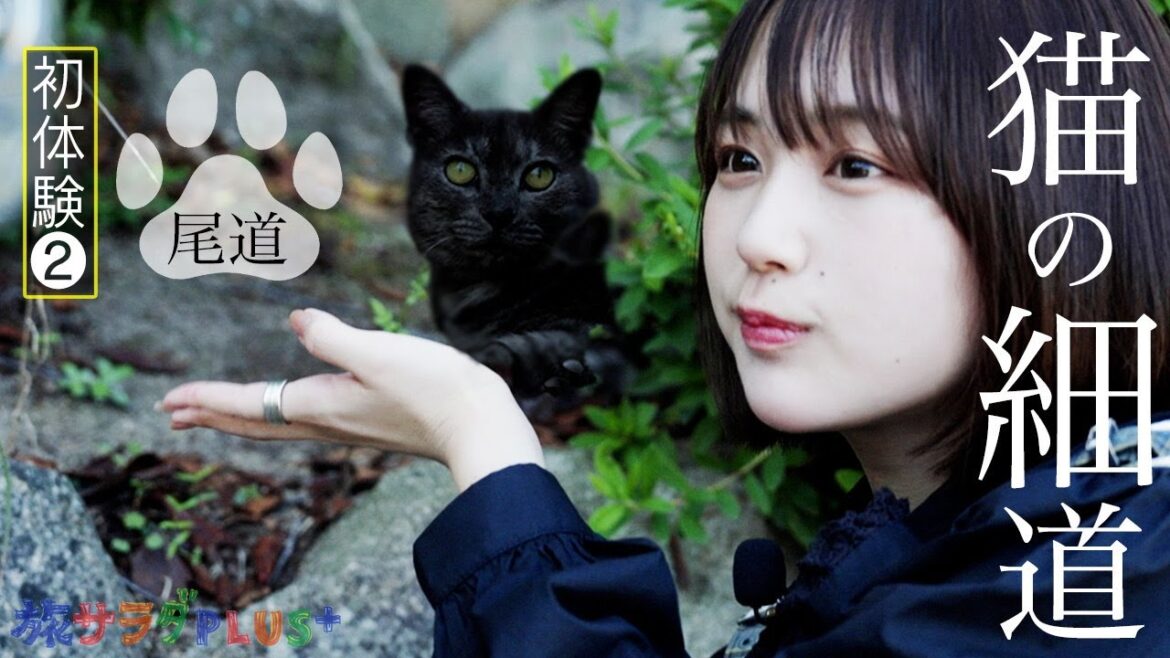 【なえなの広島旅in尾道】猫とふれあい、尾道ラーメンを食べ、レトロな商店街を歩く!〈旅サラダ〉 【なえなの広島旅in尾道】猫とふれあい、尾道ラーメンを食べ、レトロな商店街を歩く!〈旅サラダ〉