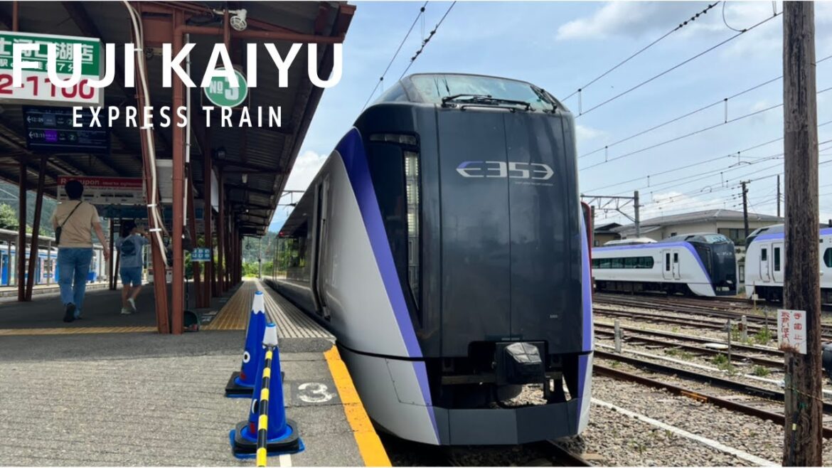 Train heading for Mt.Fuji ! Eating an ekiben while looking out the train window was the best!
