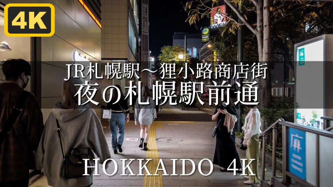 【夜の札幌散歩】JR札幌駅から狸小路商店街を歩く Hokkaido Sapporo Walk