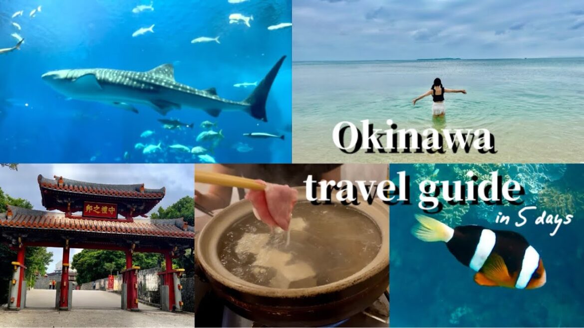 The best way to enjoy 5 days in Okinawa 🌺Recommended sightseeing spots🌴 and gourmet food🍖 sea 🏖 The best way to enjoy 5 days in Okinawa 🌺Recommended sightseeing spots🌴 and gourmet food🍖 sea 🏖