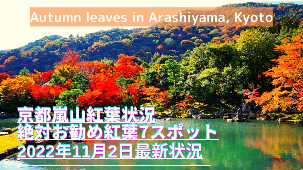京都紅葉最新状況！2022年11月2日京都嵐山紅葉お勧め7スポット（Kyoto trip）