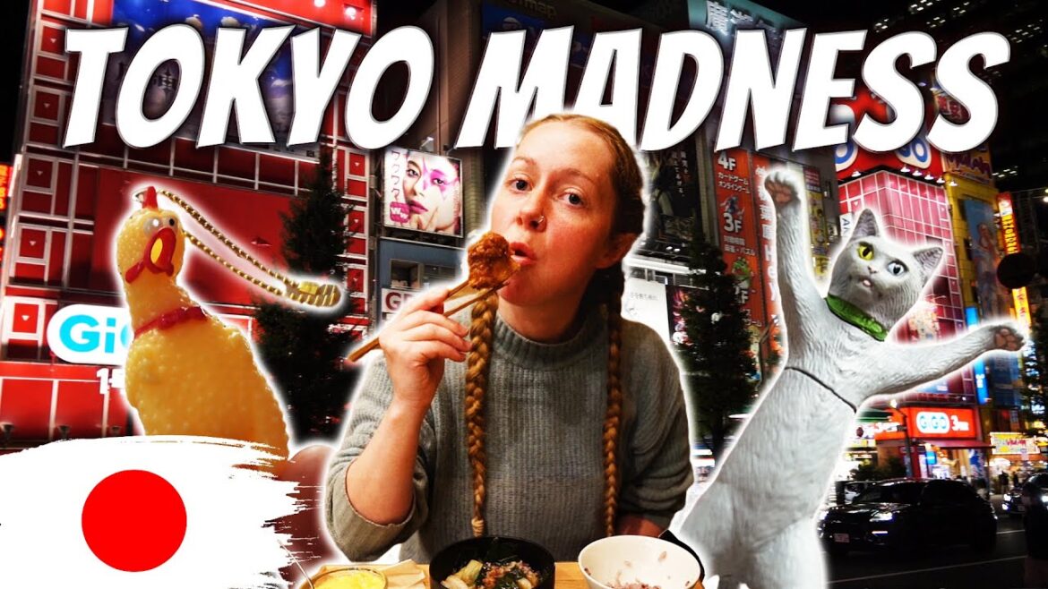 Tokyo's WEIRDEST District | Akihabara (JAPAN REOPENS 2022) Tokyo's WEIRDEST District | Akihabara (JAPAN REOPENS 2022)