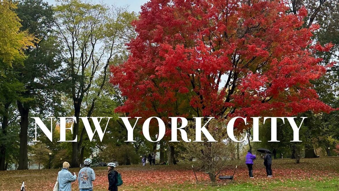 ⁴ᴷ New York City - Autumn Rain Walk - 5th Avenue to Lincoln Center via Central Park (Oct 2022)