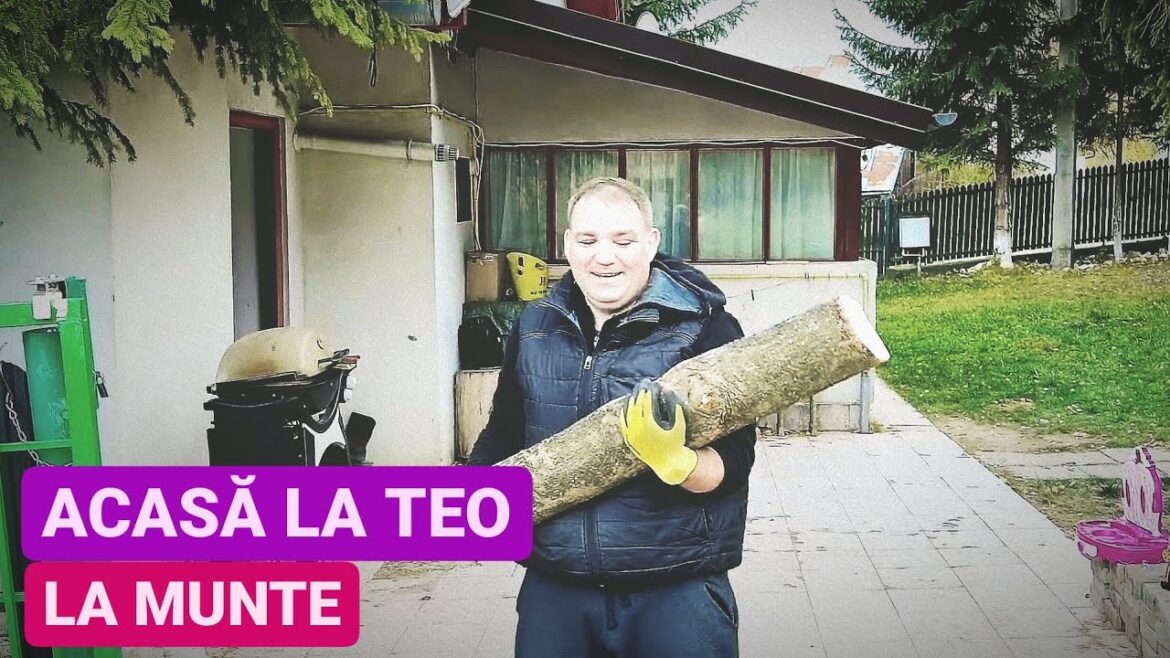 ACASĂ la TEO la BRAN, văd cum se TRĂIEȘTE în MUNȚI, cărăm de 2 zile LEMNE de FOC