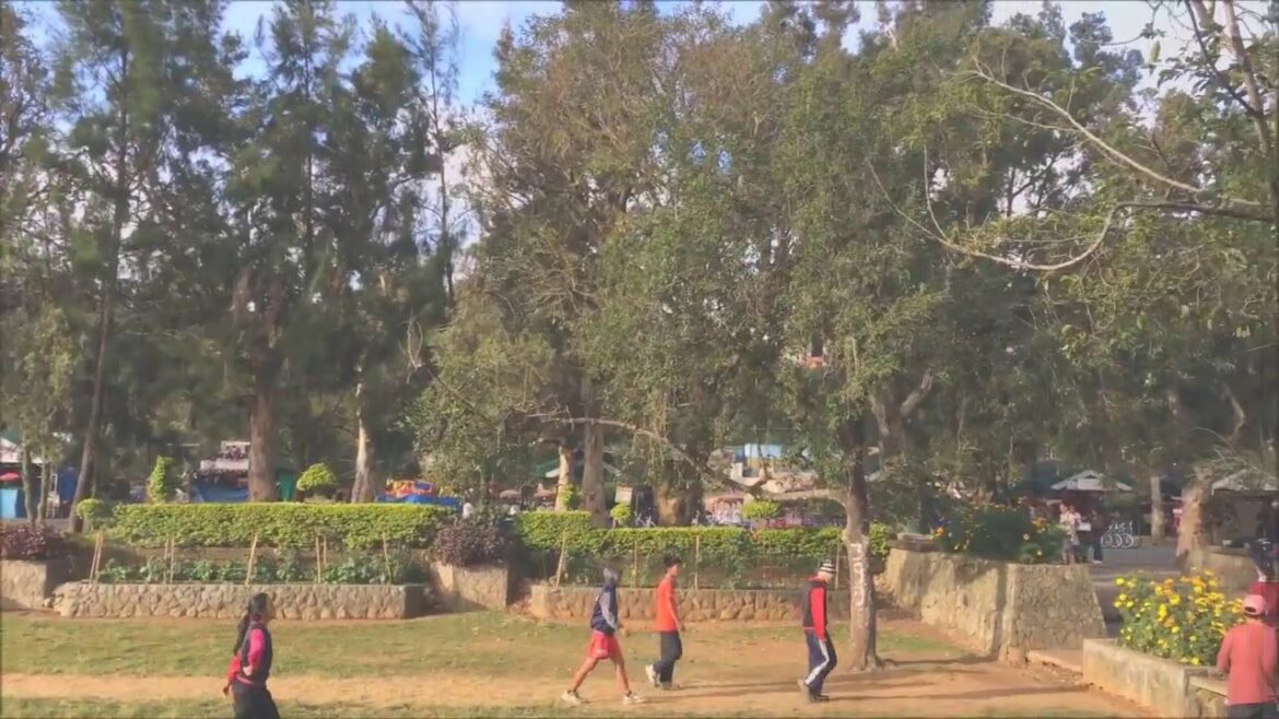 Lunar New Year Vacation 2016