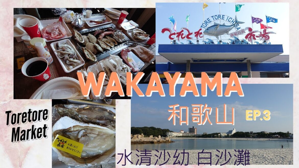 0+3下重遊日本和歌山 Wakayama 10/2022 Ep.3 白濱沙灘 Shirahama Beach + 白濱館 Hotel Shirahamakan + Toretore Market 市場 0+3下重遊日本和歌山 Wakayama 10/2022 Ep.3 白濱沙灘 Shirahama Beach + 白濱館 Hotel Shirahamakan + Toretore Market 市場