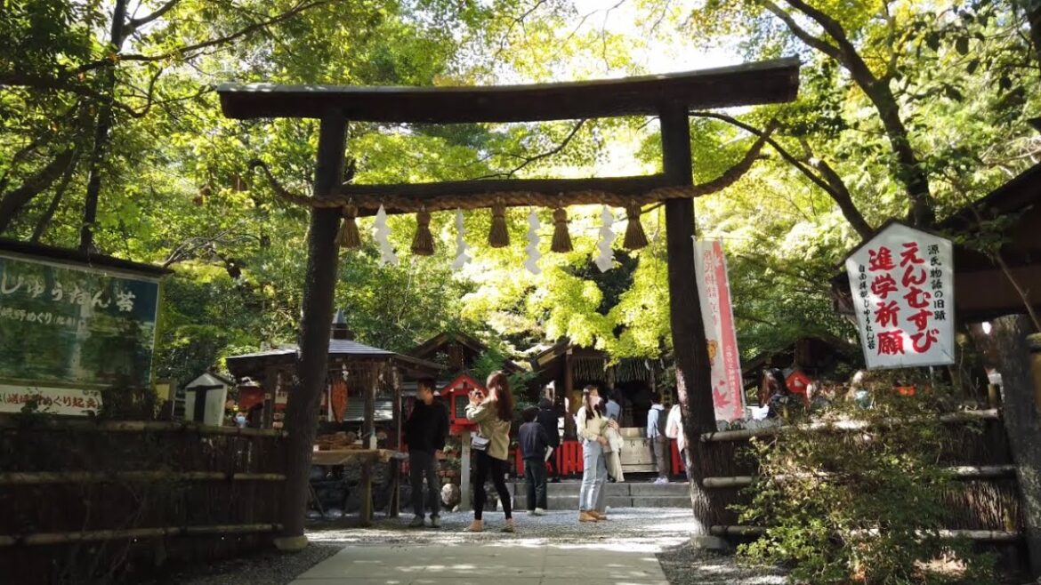 22年11月3日 暖かな秋の京都を歩く 嵐山,渡月橋,野宮神社,竹林の小径,嵯峨野 Walk around Kyoto city,Japan vlog 22年11月3日 暖かな秋の京都を歩く 嵐山,渡月橋,野宮神社,竹林の小径,嵯峨野 Walk around Kyoto city,Japan vlog