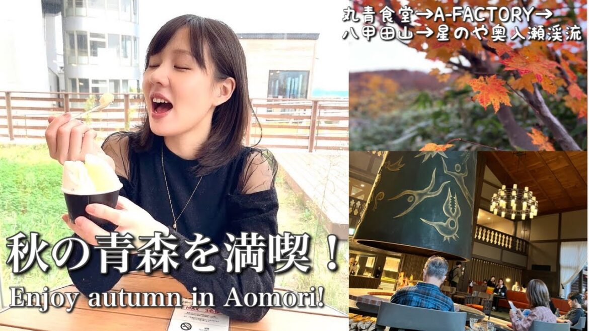 🇯🇵🇹🇼(Eng subtitle)秋の青森でアップルパイと紅葉を楽しみ尽くす！Day1 (享受紅葉和蘋果派，秋天的日本青森行！ Enjoy autumn Aomori!)