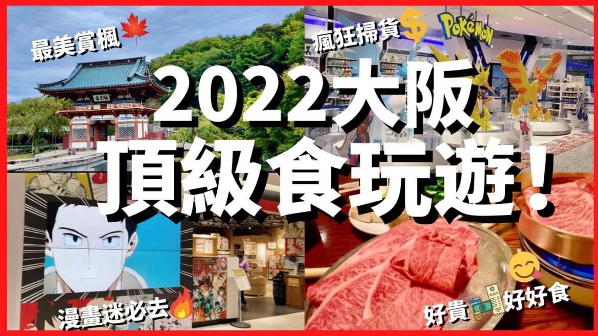 百年壽喜燒20,000yen一位食到窮💸…有剩都用埋去掃貨Pokemon😳 好在還有錢入場勝尾寺🍁.. 百年壽喜燒20,000yen一位食到窮💸...有剩都用埋去掃貨Pokemon😳 好在還有錢入場勝尾寺🍁..